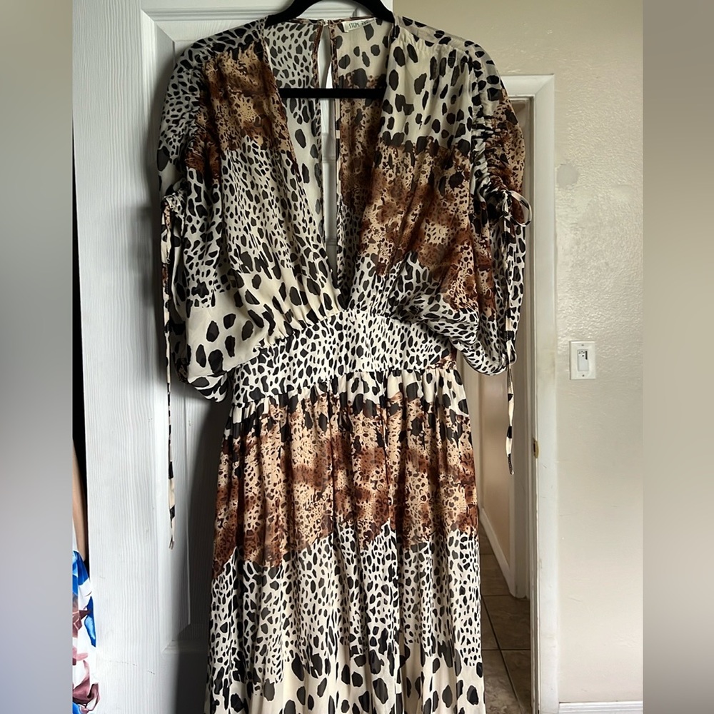 Animal Print Maxi Dress